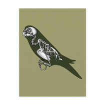 budgie skeleton post card