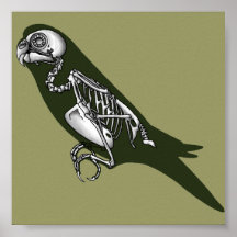 budgie skeleton print