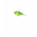 Budgie: Some Budgie Loves Me t-shirts
