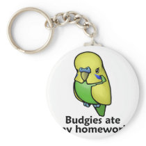 Budgies ate my homework