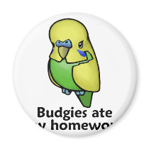 Budgies ate my homework