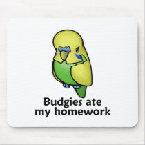 Budgies ate my homework