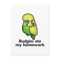 Budgies ate my homework