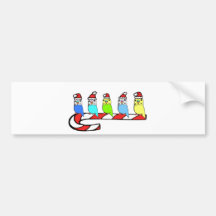 Budgies- Christmas Bumper Stickers