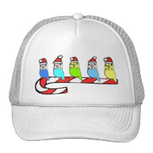 Budgies- Christmas Mesh Hat