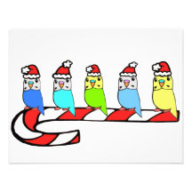 Budgies- Christmas Personalized Invite