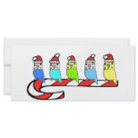Budgies- Christmas rack cards