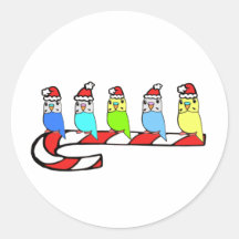 Budgies- Christmas Sticker