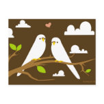 Budgies Postcard