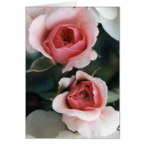 Buds becoming blossoms greeting cards
