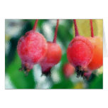 Buds Cards