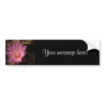 Bueatiful Pink Flower bumper stickers