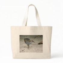 Buff-banded Rail (Gallirallus philippensis) Bags