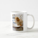 Buff Chick At Tea Mug