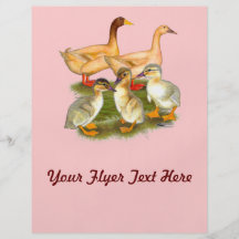 Buff Orpington Duck Family Custom Flyer