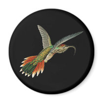 Buff-tailed Sicklebill Refrigerator Magnets