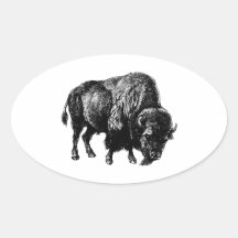 Buffalo American Bison Vintage Wood Engraving Sticker