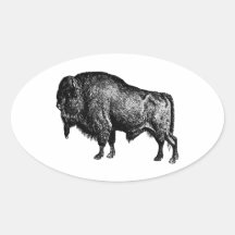 Buffalo American Bison Vintage Wood Engraving Sticker