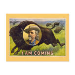Buffalo Bill Vintage Advertisment circa 1900 postcards
