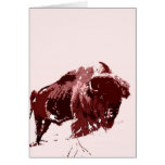 Buffalo - Bison Greeting Card