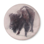 Buffalo Blizzard magnets