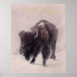 Buffalo Blizzard print