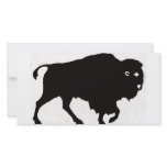Buffalo Designs photo cards