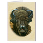 Buffalo Eating Cards