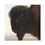 Buffalo Head art Albert Bierstadt bison painting magnets