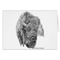 Buffalo Head