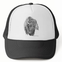 Buffalo Head
