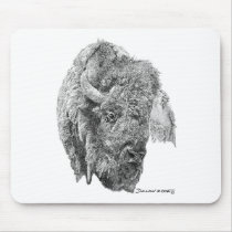 Buffalo Head