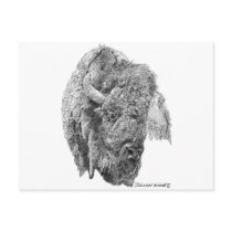 Buffalo Head