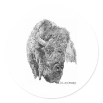 Buffalo Head