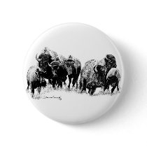 Buffalo Herd