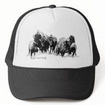 Buffalo Herd