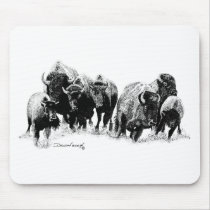 Buffalo Herd