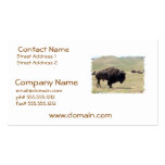 Buffalo Hunts Business Cards