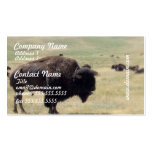Buffalo Hunts Business Cards