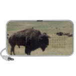 Buffalo Hunts Speakers