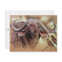 Buffalo & Oxpecker Prints Invitations