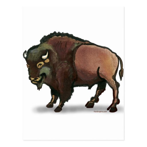 Buffalo Post Cards