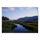 Buffalo River, North Fork Wy. cards