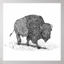 Buffalo Roaming Framed Print