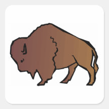 Buffalo Square Stickers