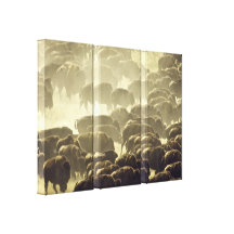 Buffalo Stampede! Canvas Print