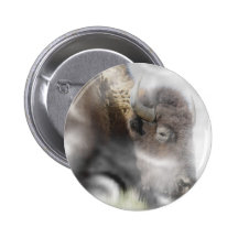 Buffalo Surrounded by Clouds Pinback Buttons