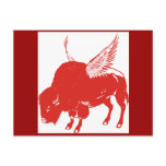 Buffalo Wings postcards