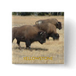 Buffalo Yellowstone Button