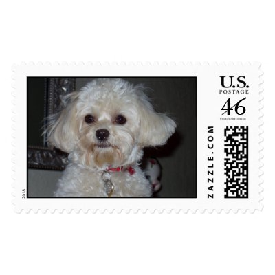 Buffy  stamps by rshean